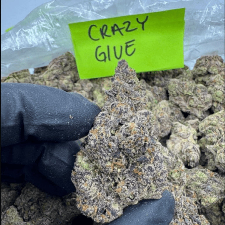 Bloomz Finest Gold Line Premium THCA Flower – 3.5 Grams