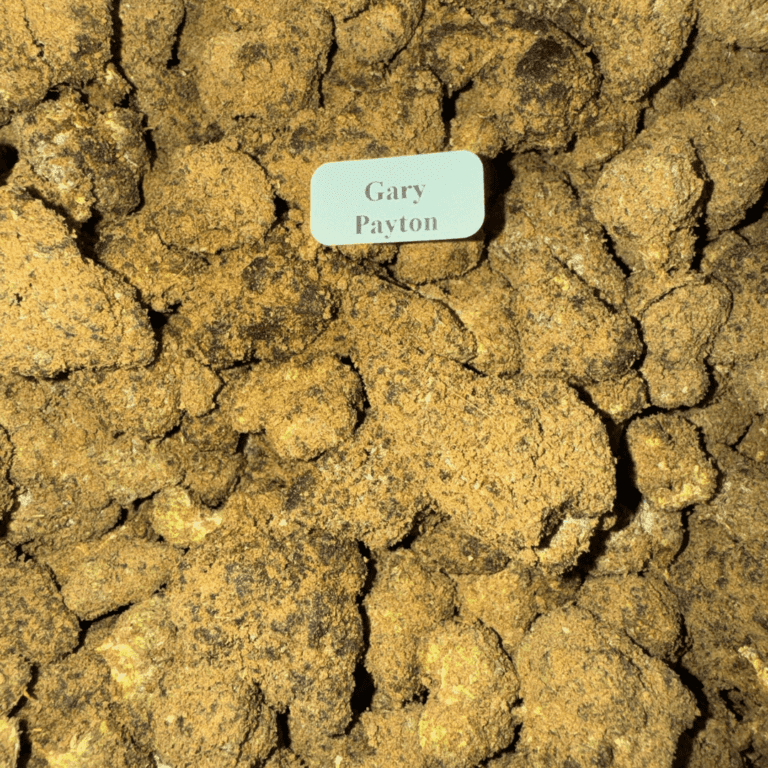 Bloomz Finest Gold Line Premium THCA MoonRocks