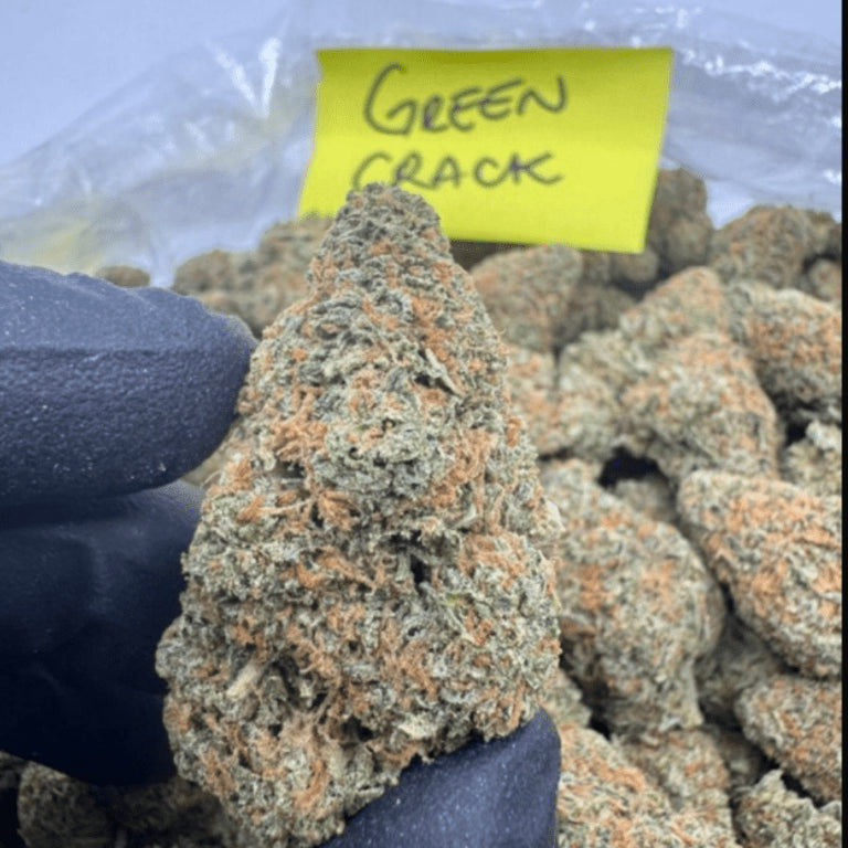 Bloomz Finest Gold Line Premium THCA Flower – 3.5 Grams
