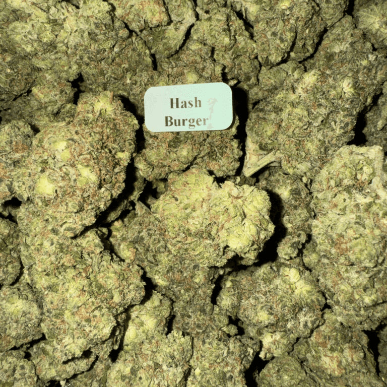 Bloomz Finest Gold Line Premium THCA Flower – 3.5 Grams