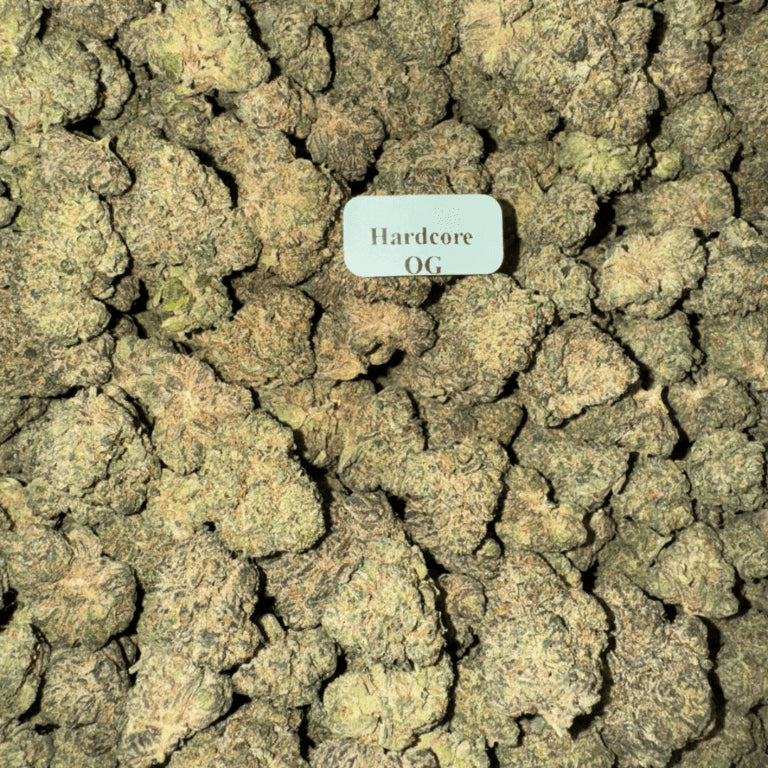 Bloomz Finest Gold Line Premium THCA Flower – 3.5 Grams