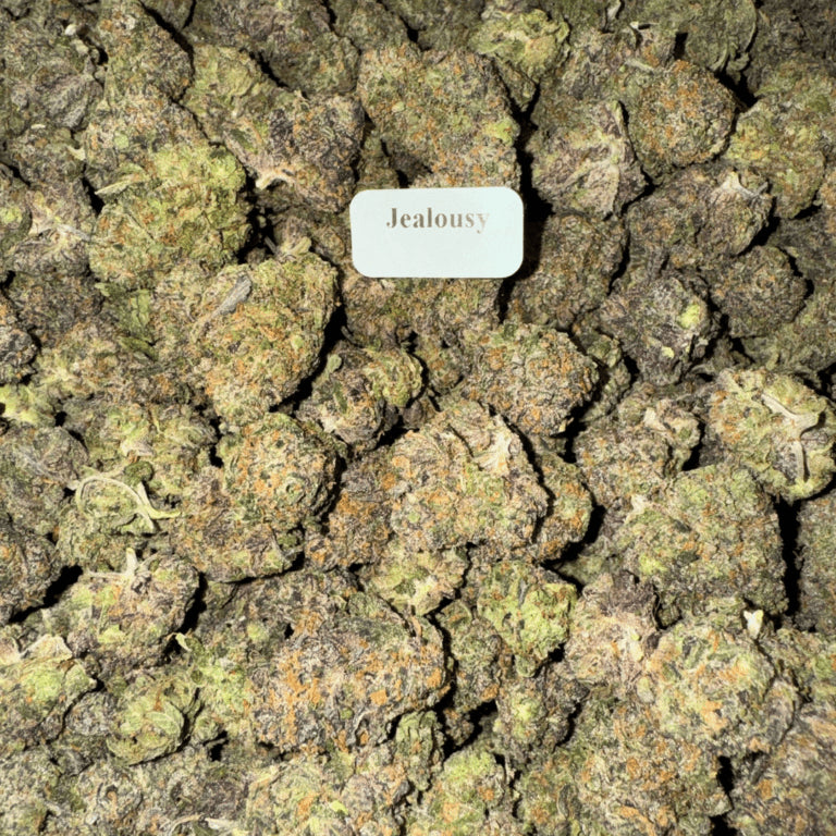 Bloomz Finest Gold Line Premium THCA Flower – 3.5 Grams