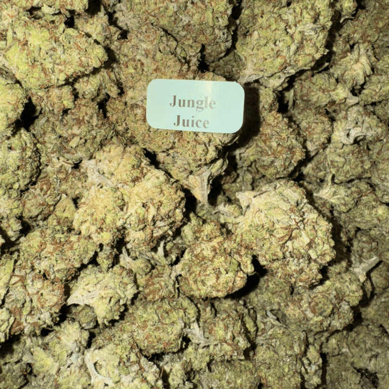 Bloomz Finest Premium THCA Flower – 28 Grams (Full Ounce)