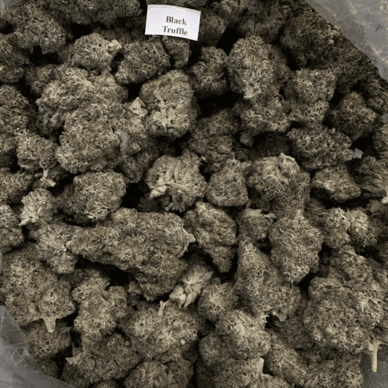 Bloomz Finest Gold Line Premium THCA Flower – 3.5 Grams