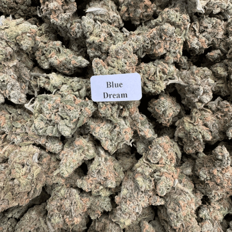 Bloomz Finest Gold Line Premium THCA Flower – 3.5 Grams