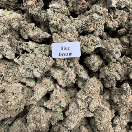 Bloomz Finest Gold Line Premium THCA Flower – 7 Grams & 28 Grams