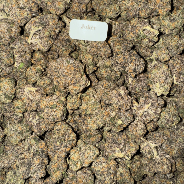 Bloomz Finest Gold Line Premium THCA Flower – 7 Grams & 28 Grams