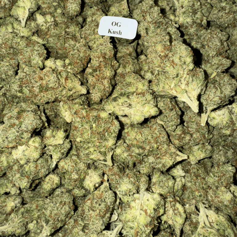 Bloomz Finest Gold Line Premium THCA Flower – 3.5 Grams