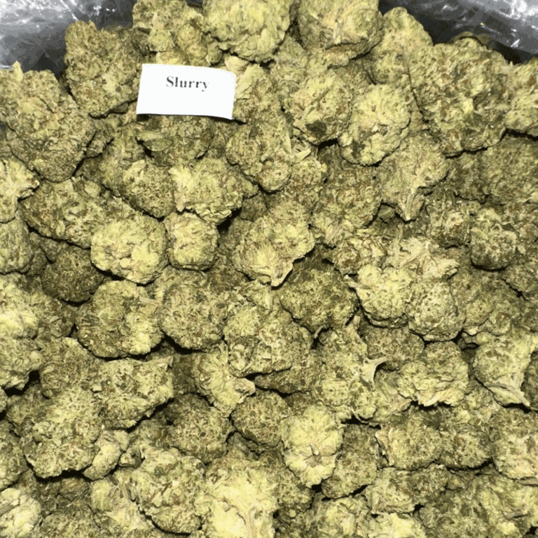 Bloomz Finest Premium THCA Flower – 3.5g