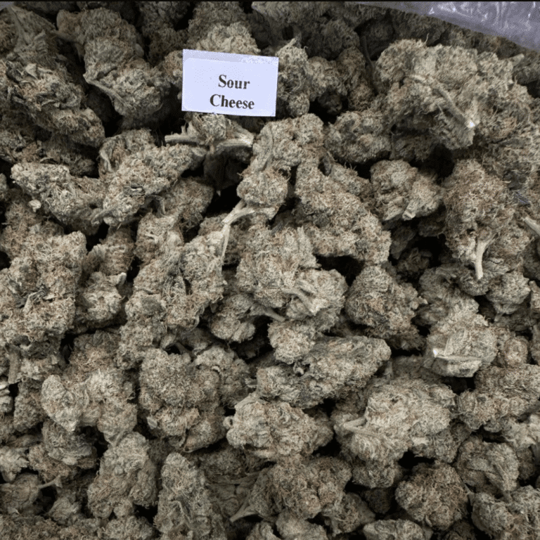 Bloomz Finest Gold Line Premium THCA Flower – 3.5 Grams