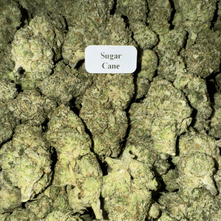 Bloomz Finest Gold Line Premium THCA Flower – 3.5 Grams