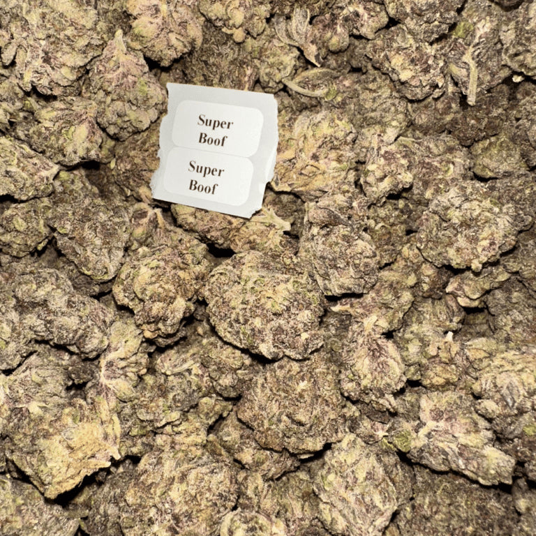 Bloomz Finest Gold Line Premium THCA Flower – 3.5 Grams