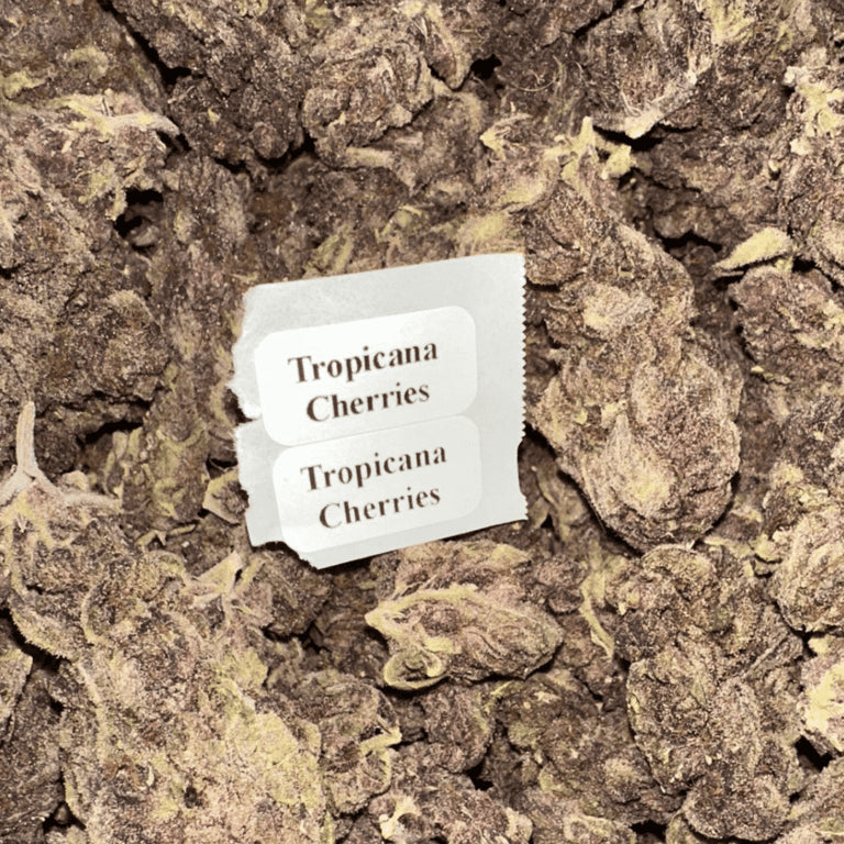Bloomz Finest Premium THCA Flower – 28 Grams (Full Ounce)